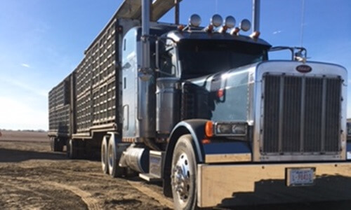 B-Train Trailers for Poultry