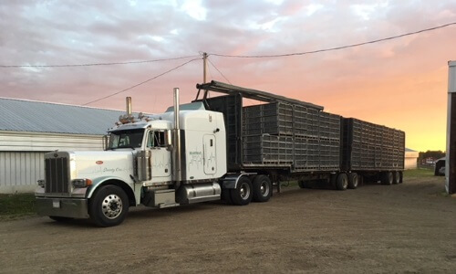 B-Train Trailers for Poultry